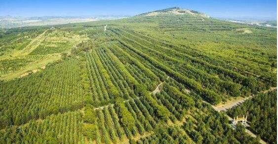山西省：在年初安排的2018年450万亩造林任务基础上，增加了60万亩省级人工造林任务