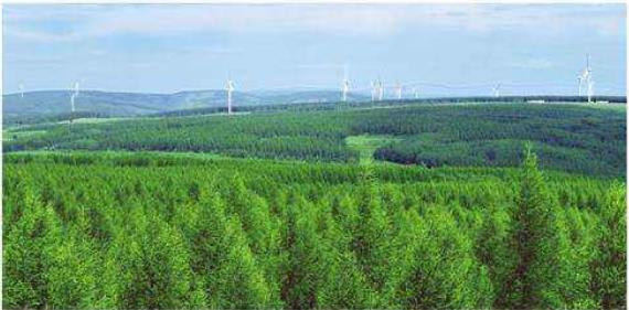 河北省：今年将高质量完成营造林1000万亩，同时推动城市园林绿化高质量发展