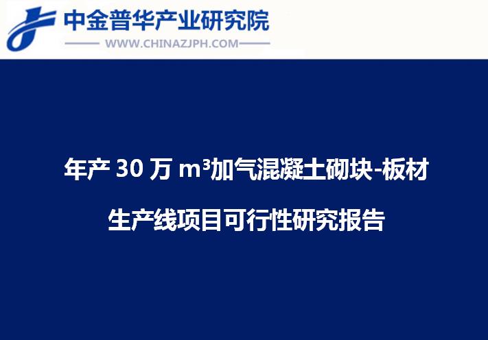 年产30万m³加气混凝土砌块-板材生产线项目可行性研究报告