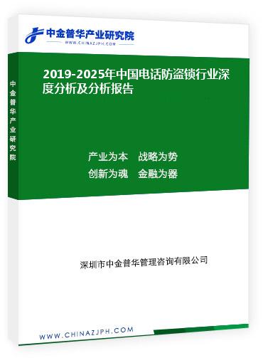 2019-2025年中国电话防盗锁行业深度分析及分析报告