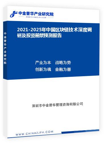 2021-2025年中国区块链技术深度调研及投资前景预测报告