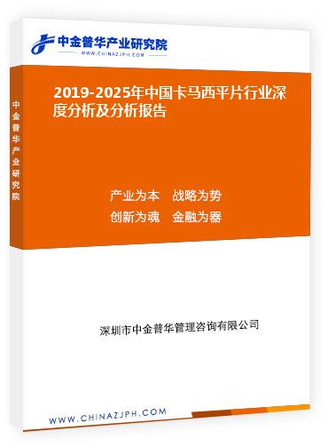 2019-2025年中国卡马西平片行业深度分析及分析报告