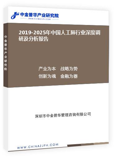 2019-2025年中国人工肺行业深度调研及分析报告