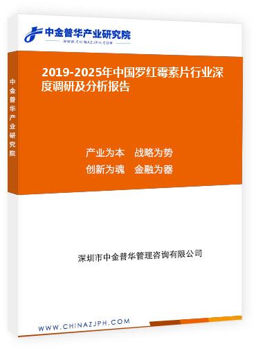 2019-2025年中国罗红霉素片行业深度调研及分析报告