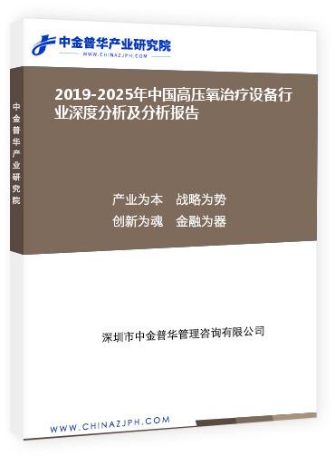 2019-2025年中国高压氧治疗设备行业深度分析及分析报告