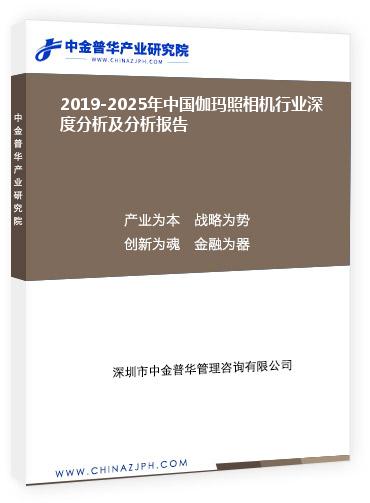 2019-2025年中国伽玛照相机行业深度分析及分析报告