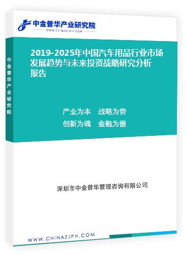 2019-2025年中国汽车用品行业市场发展趋势与未来投资战略研究分析报告