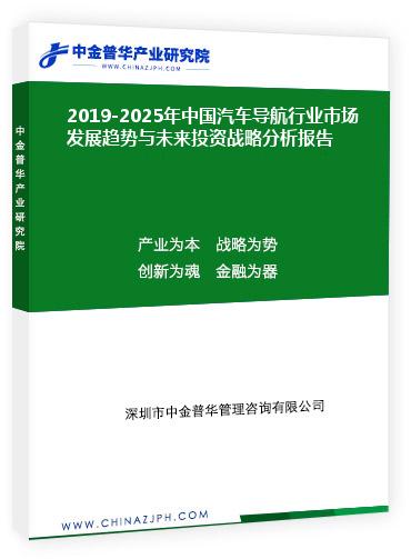 2019-2025年中国汽车导航行业市场发展趋势与未来投资战略分析报告