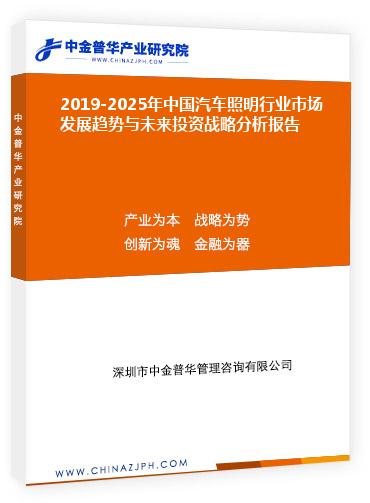 2019-2025年中国汽车照明行业市场发展趋势与未来投资战略分析报告