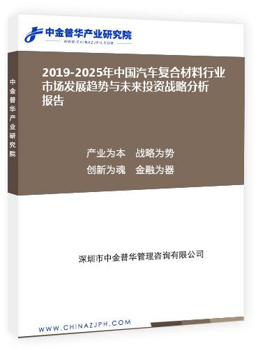 2019-2025年中国汽车复合材料行业市场发展趋势与未来投资战略分析报告