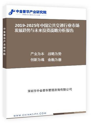 2019-2025年中国公共交通行业市场发展趋势与未来投资战略分析报告