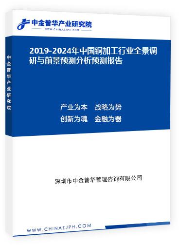2019-2024年中国铜加工行业全景调研与前景预测分析预测报告