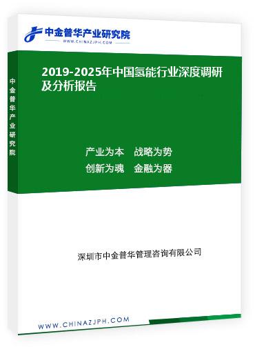 2019-2025年中国氢能行业深度调研及分析报告