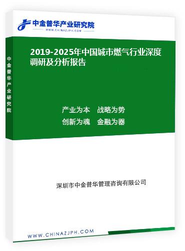 2019-2025年中国城市燃气行业深度调研及分析报告