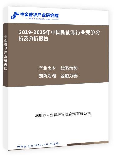 2019-2025年中国新能源行业竞争分析及分析报告
