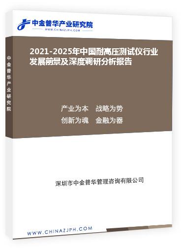 2021-2025年中国耐高压测试仪行业发展前景及深度调研分析报告