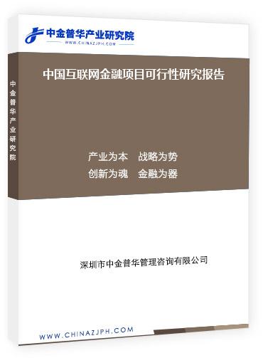 中国互联网金融项目可行性研究报告