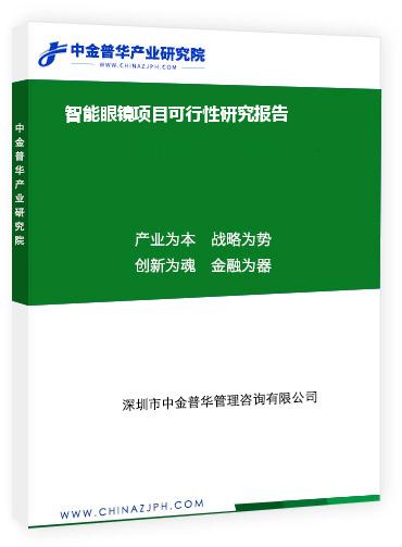 智能眼镜项目可行性研究报告